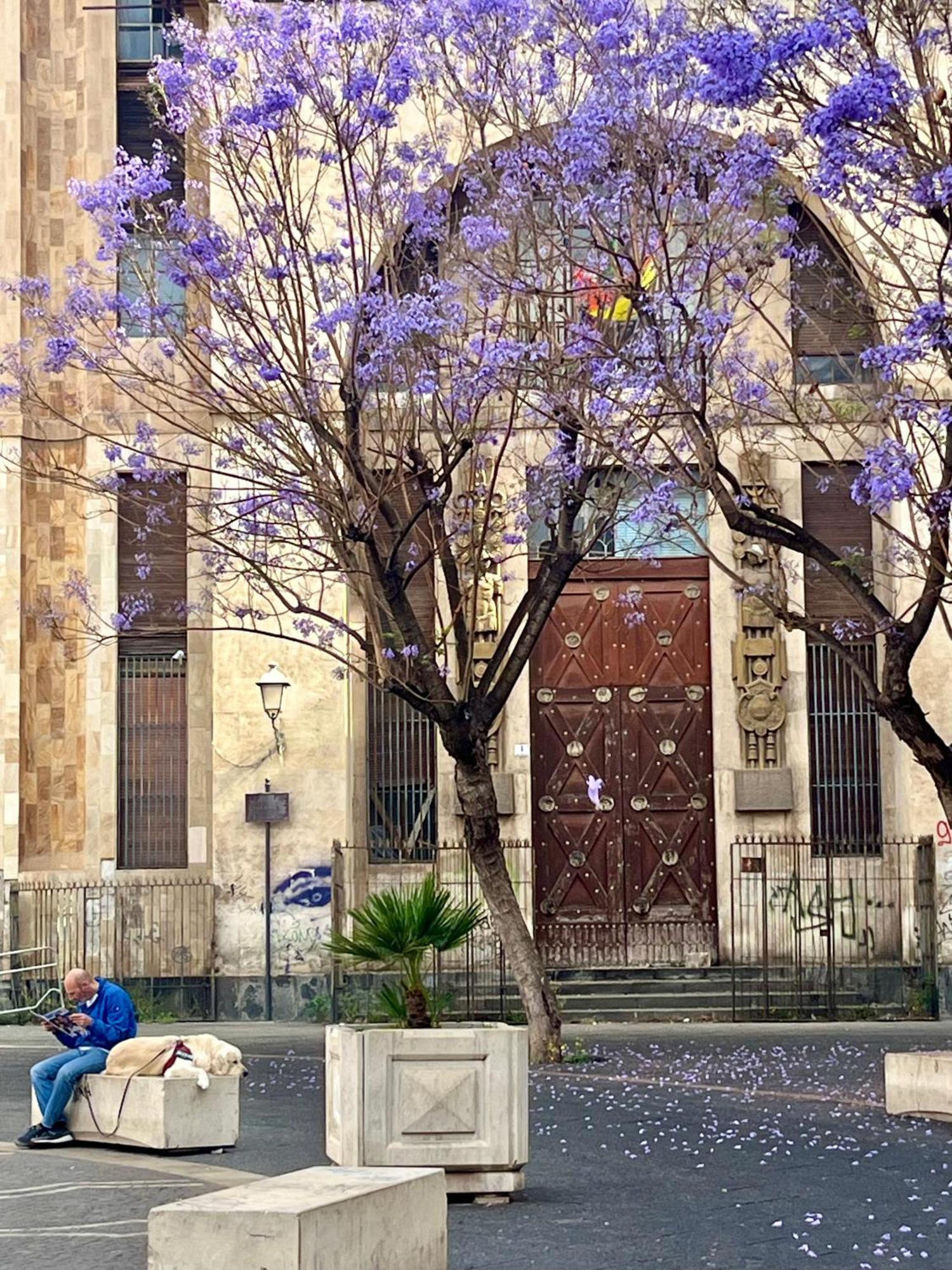 Happy Home Catania Eksteriør bilde